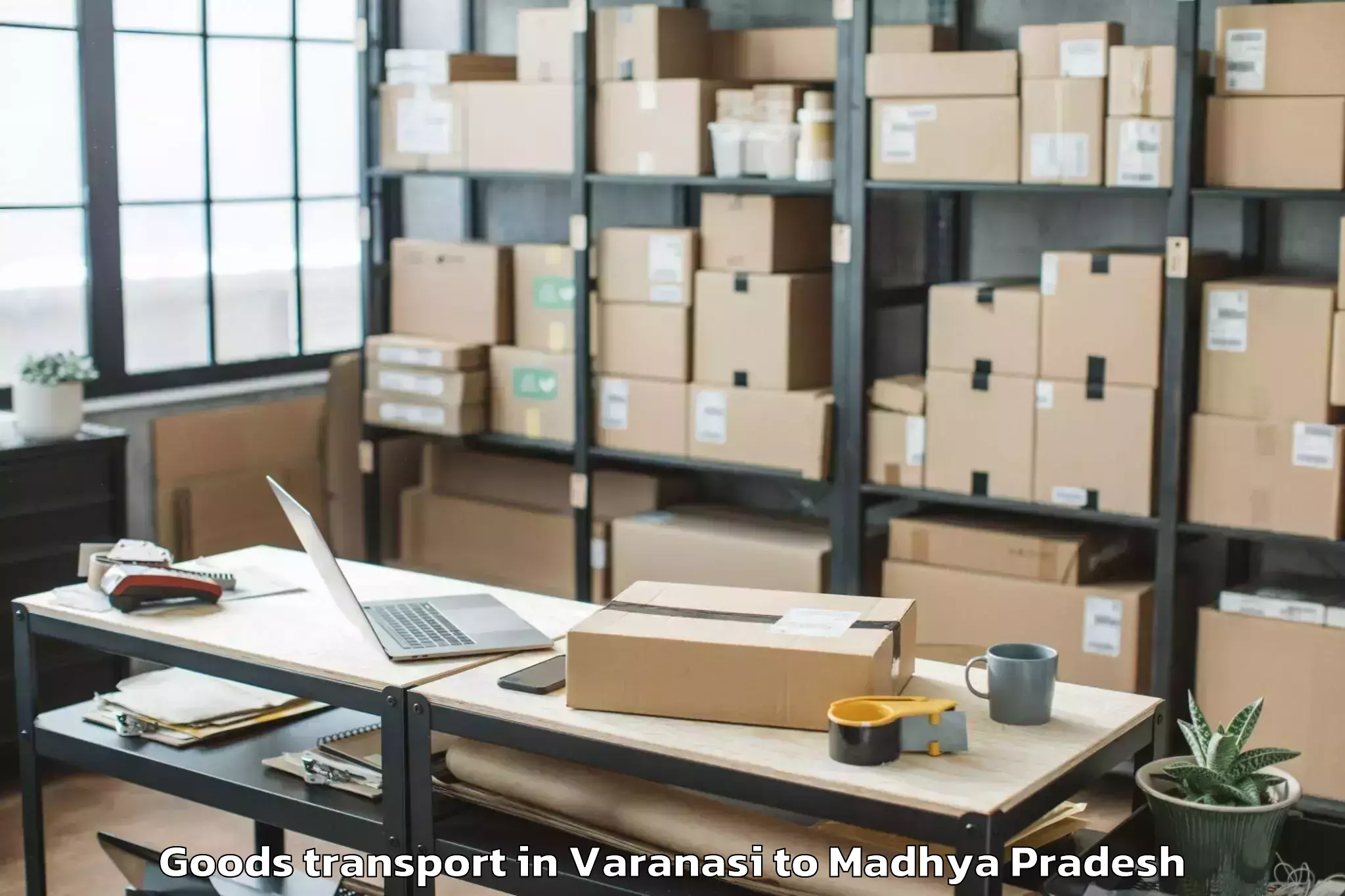 Trusted Varanasi to Mandsaur Goods Transport